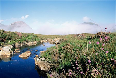 Early morning mist partially obscures Buachaille Etive Mor, one of Scotland's Munroes, Highland region, Scotland, United Kingdom, Europe Fotografie stock - Rights-Managed, Codice: 841-02925568