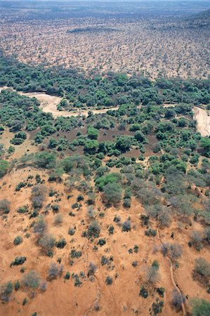 simsearch:841-02703908,k - Trees mark a dry riverbed or Lugga which may only flow with water for a few days each year, Matthews Range, Kenya, East Africa, Africa Foto de stock - Con derechos protegidos, Código: 841-02925572