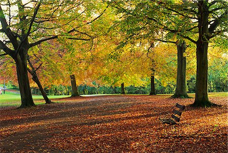 simsearch:841-07673370,k - Trees in autumn colours and park bench beside a path at Clifton, Bristol, England, United Kingdom, Europe Stock Photo - Rights-Managed, Code: 841-02920059