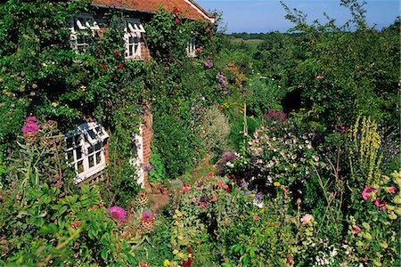 simsearch:841-02920172,k - Detail of cottage and garden, Suffolk, England, United Kingdom, Europe Foto de stock - Con derechos protegidos, Código: 841-02920172