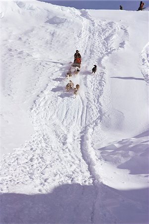 Dog transport, Greenland, Polar Regions Stock Photo - Rights-Managed, Code: 841-02920210