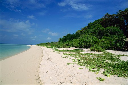 Pulau Sangalakki beach at the Hidden Divers resort, Kalimantan, Borneo, Indonesia, Asia Foto de stock - Con derechos protegidos, Código: 841-02920312
