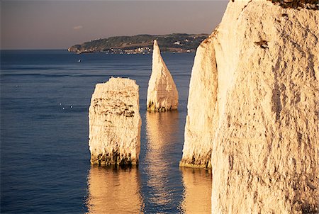 studland - Tôt le matin la lumière sur le pinacles, Handfast Point, Studland, Dorset, Angleterre, Royaume-Uni, Europe Photographie de stock - Rights-Managed, Code: 841-02920352