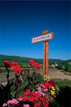 Village signe et fleurs, Riquewihr, Haut-Rhin, Alsace, France, Europe Photographie de stock - Rights-Managed, Code: 841-02920504