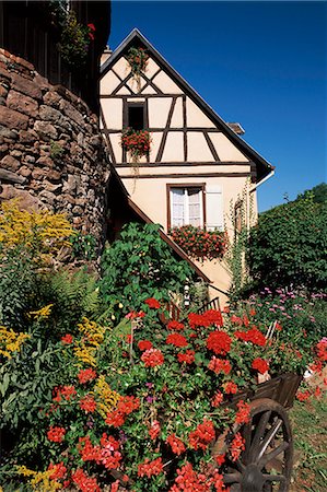 Timbered house and flower-filled cart, Riquewihr, Haut-Rhin, Alsace, France, Europe Foto de stock - Con derechos protegidos, Código: 841-02920507