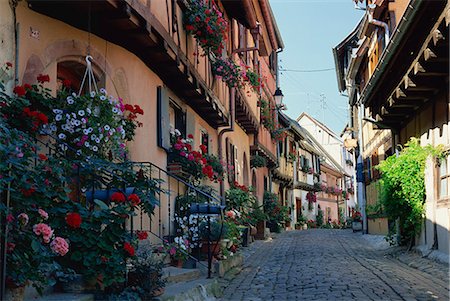 Flower-filled village street, Eguisheim, Haut-Rhin, Alsace, France, Europe Foto de stock - Con derechos protegidos, Código: 841-02920510