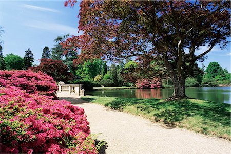 simsearch:841-07673370,k - Chemin d'accès au bord de l'étang de pied Ten, Sheffield Park Garden, East Sussex, Angleterre, Royaume-Uni, Europe Photographie de stock - Rights-Managed, Code: 841-02920580