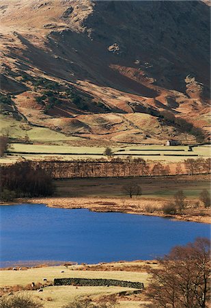 Vue Ouest Little Langdale Tarn, Little Langdale, Parc National de Lake District, Cumbria, Angleterre, Royaume-Uni (Royaume-Uni), Europe Photographie de stock - Rights-Managed, Code: 841-02920688