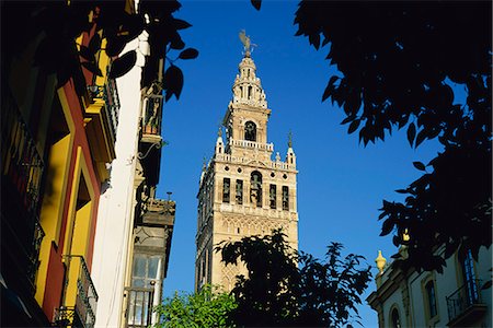 The Giralda framed by trees, Seville, Andalucia (Andalusia), Spain, Europe Foto de stock - Con derechos protegidos, Código: 841-02920767