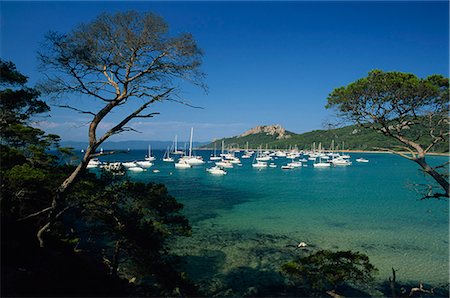 Boats anchored in bay off the Plage Notre Dame, Ile de Porquerolles, near Hyeres, Var, Cote d'Azur, Provence, France, Mediterranean, Europe Foto de stock - Con derechos protegidos, Código: 841-02920837