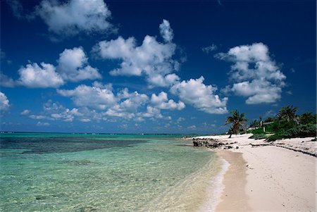 Palm-fringed beach, Cayman Kai, Grand Cayman, Cayman Islands, West Indies, Central America Foto de stock - Con derechos protegidos, Código: 841-02920937