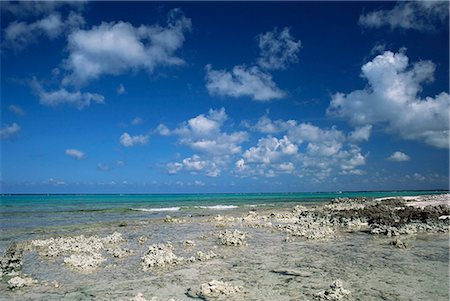simsearch:841-02708936,k - Rocky shore, Grand Cayman, Cayman Islands, West Indies, Central America Stock Photo - Rights-Managed, Code: 841-02920938