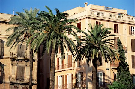 Typical buildings lining the Borne, with palm trees in front, Palma, Majorca, Balearic Islands, Spain, Europe Stock Photo - Rights-Managed, Code: 841-02920949