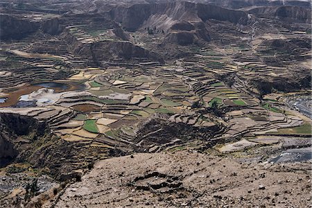 Blick über das Tal und die Inka-Terrassen in der Nähe von Chivay, Colca Canyon, Peru, Südamerika Stockbilder - Lizenzpflichtiges, Bildnummer: 841-02921017