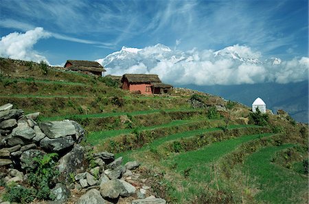 simsearch:841-03033459,k - Mitoyenne des champs et du sanctuaire sur une colline à Sarangkot avec la gamme Annapurna des montagnes en arrière-plan, près de Pokhara, Népal, Asie Photographie de stock - Rights-Managed, Code: 841-02921078