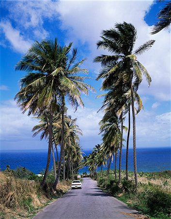 East coast near Bathsheba, Barbados, West Indies, Caribbean, Central America Foto de stock - Con derechos protegidos, Código: 841-02921257