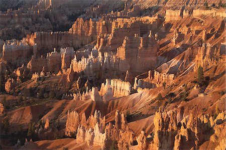 simsearch:841-02706686,k - Queens Garden, Bryce Canyon, Utah, United States of America (U.S.A.), North America Stock Photo - Rights-Managed, Code: 841-02921305