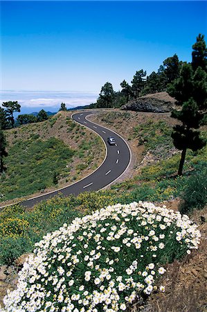 simsearch:841-02903299,k - Road near Las Moradas, La Palma, Canary Islands, Spain, Europe Stock Photo - Rights-Managed, Code: 841-02923653