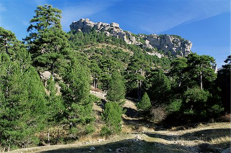 Sierra de Cazorla, 2000m, Cazorla National Park, Jaen Province, Andalucia, Spain, Europe Foto de stock - Con derechos protegidos, Código: 841-02923801
