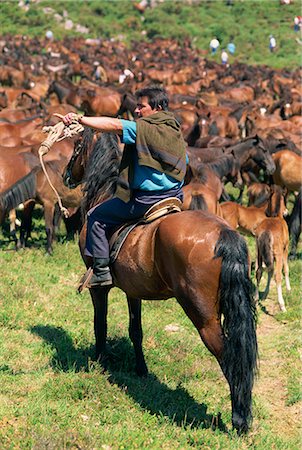 simsearch:841-02831226,k - Man on horseback in the Curros Festival when wild horses are driven into corrals in the hills south east of Bayona, in Galicia, Spain, Europe Foto de stock - Con derechos protegidos, Código: 841-02923821
