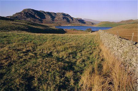 Cadair Idris (Cader Idris) mountain and Gregennen lake (National Trust), Snowdonia National Park, Gwynedd, Wales, United Kingdom, Europe Foto de stock - Con derechos protegidos, Código: 841-02923882