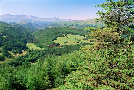 simsearch:841-02826234,k - Coed y Brennin Forest, near Dolgellau, Snowdonia National Park, Gwynedd, Wales, United Kingdom, Europe Fotografie stock - Rights-Managed, Codice: 841-02923909