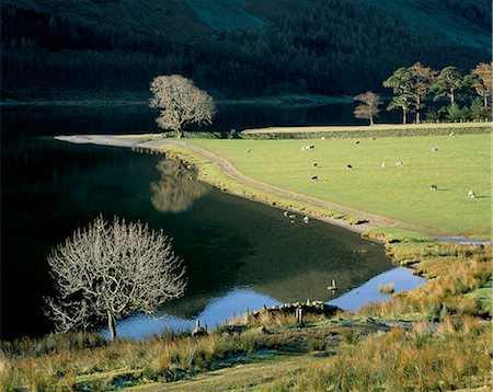 Footpath, Buttermere, Lake District National Park, Cumbria, England, United Kingdom, Europe Foto de stock - Con derechos protegidos, Código: 841-02944073