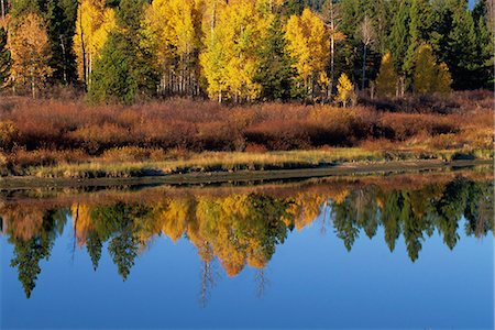 snake river - Reflets dans la rivière Snake, Parc National du Grand Tetons, Wyoming, États-Unis d'Amérique, l'Amérique du Nord Photographie de stock - Rights-Managed, Code: 841-02944151