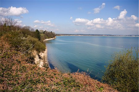 studland - Studland, la baie de Poole, Dorset, Angleterre, Royaume-Uni, Europe Photographie de stock - Rights-Managed, Code: 841-02944189