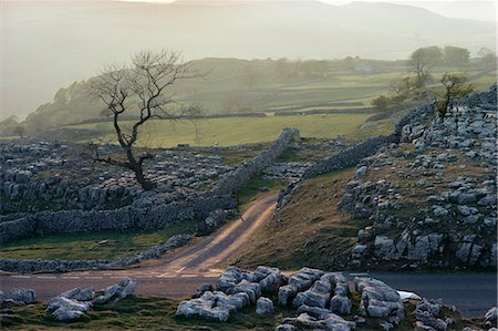 settled - Yorkshire Dales near Settle, Yorkshire, England, United Kingdom, Europe Stock Photo - Rights-Managed, Code: 841-02944234