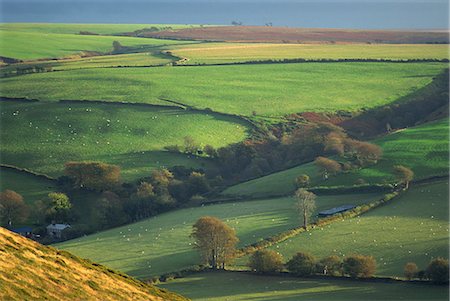 simsearch:841-02826234,k - Rural landscape near Oare, Exmoor, Somerset, England, United Kingdom, Europe Fotografie stock - Rights-Managed, Codice: 841-02944247