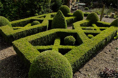 A home-made knot garden, England, United Kingdom, Europe Stock Photo - Rights-Managed, Code: 841-02944314