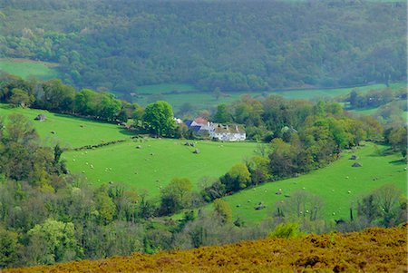 simsearch:841-02899748,k - Countryside near Bovey Tracey, Devon, England, UK Foto de stock - Con derechos protegidos, Código: 841-02944335