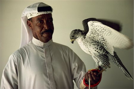 fauconnerie - Portrait de gestionnaire de falcon et Gyr Falcon (Bahreïn), Moyen Orient Photographie de stock - Rights-Managed, Code: 841-02944719