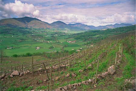 Vineyards near St. Jean Pied de Port, Basque area, Aquitaine, France, Europe Foto de stock - Direito Controlado, Número: 841-02944766