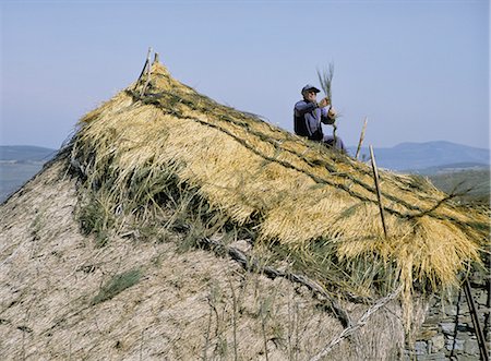 people and thatched houses - Thatching a roof, Cebreiro, Way of St. James, Galicia, Spain, Europe Stock Photo - Rights-Managed, Code: 841-02945109