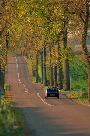 simsearch:841-02915137,k - Voiture sur un arbre bordée d'une route rurale en France, en Europe Photographie de stock - Rights-Managed, Code: 841-02945148