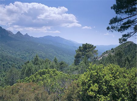 simsearch:841-02915184,k - Mountains, island of Corsica, France, Europe Foto de stock - Con derechos protegidos, Código: 841-02945185