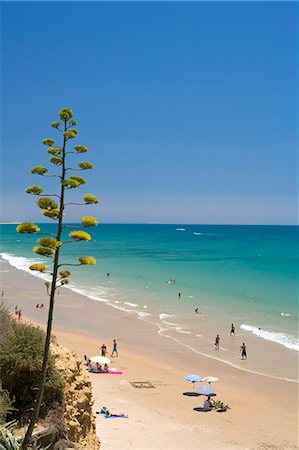 simsearch:841-03027961,k - Conil de la Frontera, Costa de la Luz, Andalucia, Spain, Europe Fotografie stock - Rights-Managed, Codice: 841-02945321