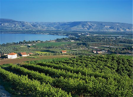 Vue sur la mer de Galilée, Zemakh région, Israël, Moyen-Orient Photographie de stock - Rights-Managed, Code: 841-02945729
