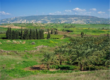 simsearch:841-05846117,k - Palmen und Felder im Jordantal, mit Hügeln im Hintergrund, in der Nähe von Gescher, Israel, Naher Osten Stockbilder - Lizenzpflichtiges, Bildnummer: 841-02945768