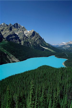 Peyto Lake, Banff National Park, UNESCO World Heritage Site, Alberta, Rockies, Canada, North America Foto de stock - Con derechos protegidos, Código: 841-02945940