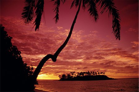 Silhouettes of palm trees and desert island at sunrise, Rarotonga, Cook Islands, South Pacific, Pacific Foto de stock - Con derechos protegidos, Código: 841-02946015