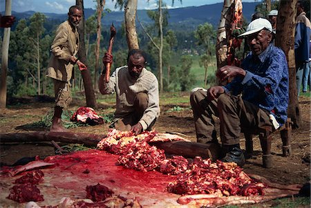 sacrificio - Easter sacrifical ceremony, Addis Ababa, Ethiopia, Africa Foto de stock - Con derechos protegidos, Código: 841-02946095