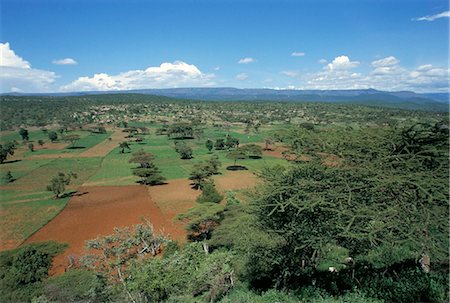 simsearch:841-03034234,k - Zone déboisée et dégagée pour l'agriculture intense, lac Langano, Ethiopie, Afrique Photographie de stock - Rights-Managed, Code: 841-02946127