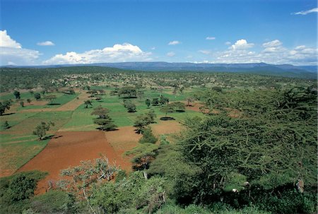 simsearch:841-03676728,k - Area deforested and cleared for intense farming, Lake Langano, Ethiopia, Africa Foto de stock - Direito Controlado, Número: 841-02946127