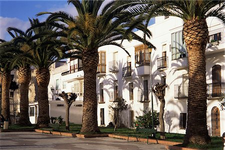simsearch:841-02714858,k - Spanish architecture and palm trees, Tarifa, Andalucia, Spain, Europe Foto de stock - Con derechos protegidos, Código: 841-02946142