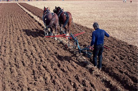 simsearch:841-02915461,k - Ploughing with horses on a farm near Burford, Oxfordshire, England, United Kingdom, Europe Stock Photo - Rights-Managed, Code: 841-02946433