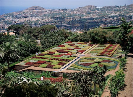 Botanical Gardens, Quinta de Bom Sucesso, Funchal, Madeira, Portugal, Europe Stock Photo - Rights-Managed, Code: 841-02946576