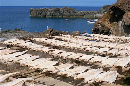 Cod drying, Camara de Lobos, Madeira, Portugal, Atlantic, Europe Stock Photo - Rights-Managed, Code: 841-02946584